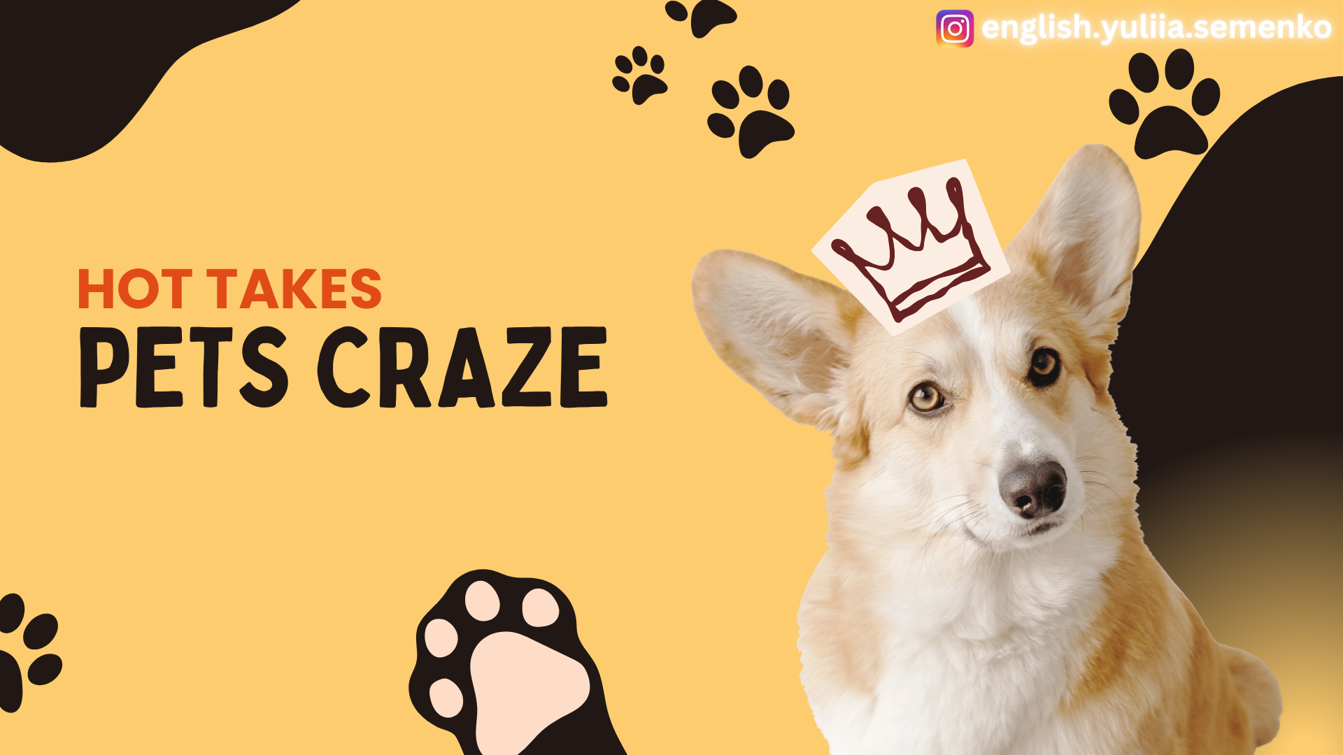 Hot Takes: Pets Craze